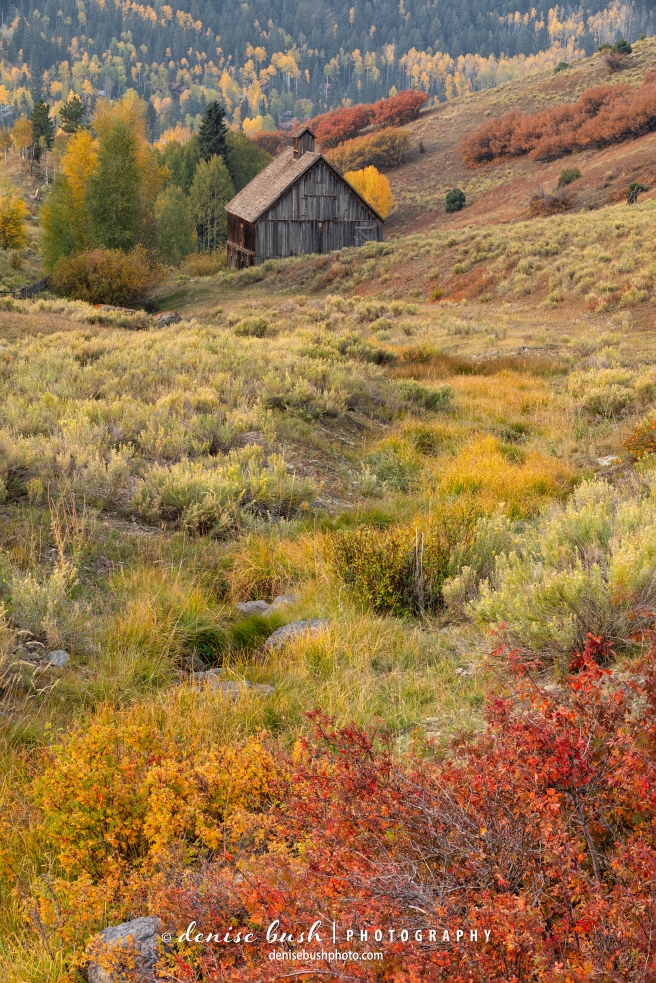 A picture perfect barn and autumn colors make a wonderful rural scene.